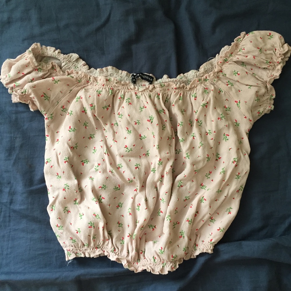 Brandy Melville floral crop top